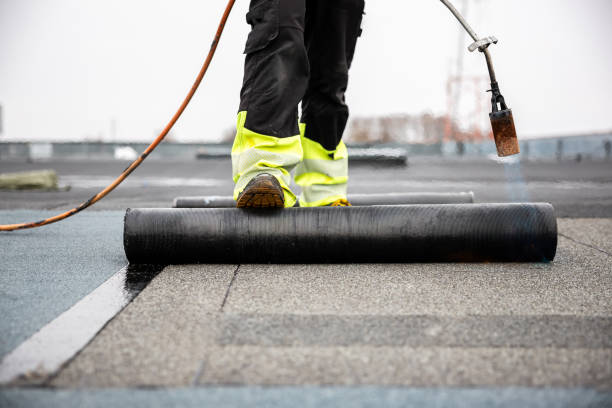 Best Roof Ventilation Installation  in Fairview, MT